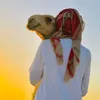 v_s7o