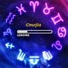 gigim504