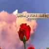 amelloulou680