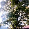 adri_5558