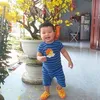dya6vbz84z6q