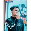 parves_zayn_1