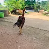 luuvanbinh2k