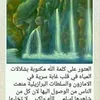 halima.saadia231