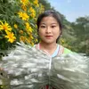 Sùng bầu
