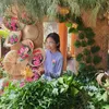 vtthaovy01122011