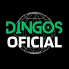 Dingos Oficial