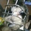 el_mailo23