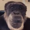 uncle_shrek21