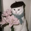 za_sh33