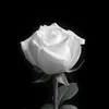 trix_xirt