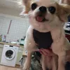 juliakerzerot