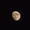 mohammed_alashram007
