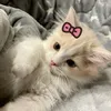 luvshyunie
