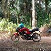 umarabdul.m.29
