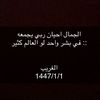 alshaaeir444