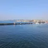 magosilvan33