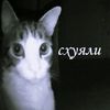 y_3bok_