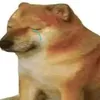 bianchivalee