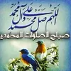 userzbayk3221t