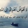 saimaahsan66