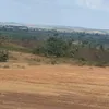 hsilva046