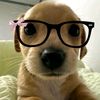 ._abby_.2925