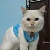 pusa963