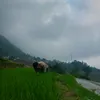 userw1k6sbs1dz