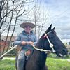 juan.g_agrovegamaq