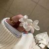 v_amina6