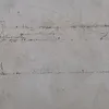 mierebusseven