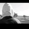 2009____80