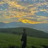 trinhlam.99