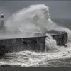 birdybay21