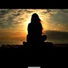 jou_8369