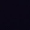 inbar_tzip0810