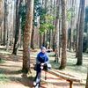 bucantaty
