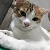 bankkdepzai