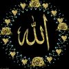 ranashahid7751
