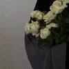 sitiihajarr__