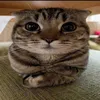 modetbee3