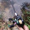 proline353