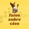 fatossobrecaes