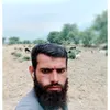 naizkhan8208