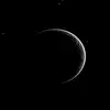 nzm_15y