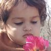 mazharshabbir72