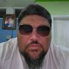 lion_falcon_bulldog