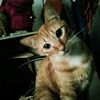 user581078000884