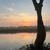 davidannison1